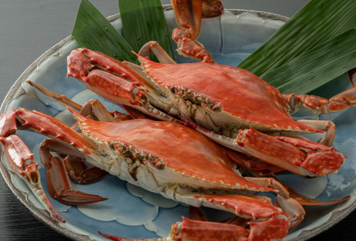 当店最上級贅沢コース