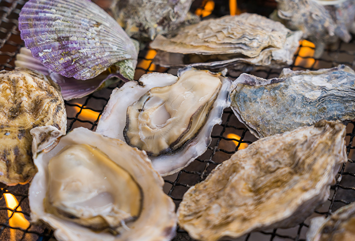 スタンダードコース